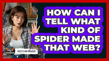 How Can I Tell What Kind Of Spider Made That Web? - Insects and Invaders