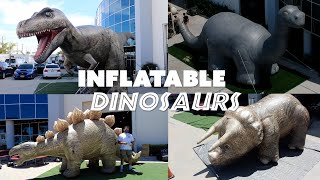 Giant Inflatable Dinosaurs Resimi