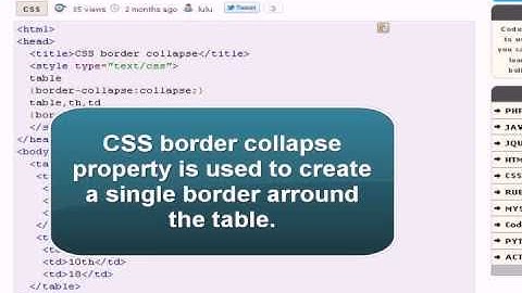 CSS Tutorial : css border collapse