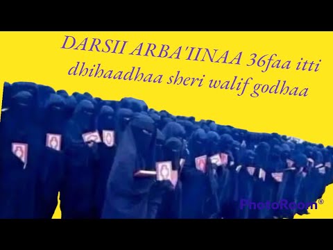 DARSII ARBA IINAA 36faa Itti Dhihaadhaa Sheri Walif Godhaa 