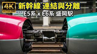 (4K) JR東日本 新幹線E5系與E6系在盛岡車站連結與分離