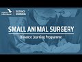 Small animal surgery distance learning postgraduate certificate programme