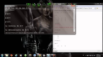 Como resolver matrices en matlab.wmv