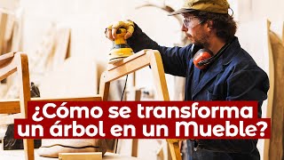 🌳 ¿Cómo se FABRICAN los MUEBLES? - Conoce el PROCESO INDUSTRIAL de la MADERA