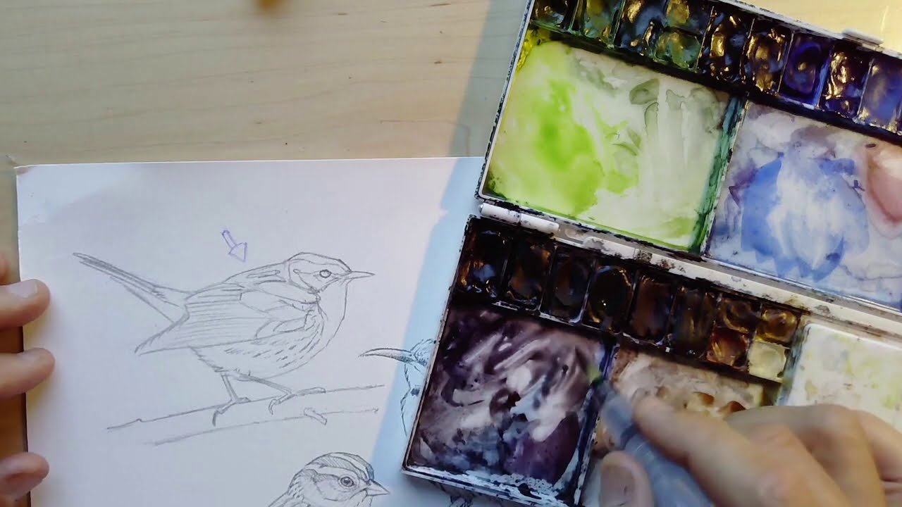 Watercolor birds part 1 - YouTube