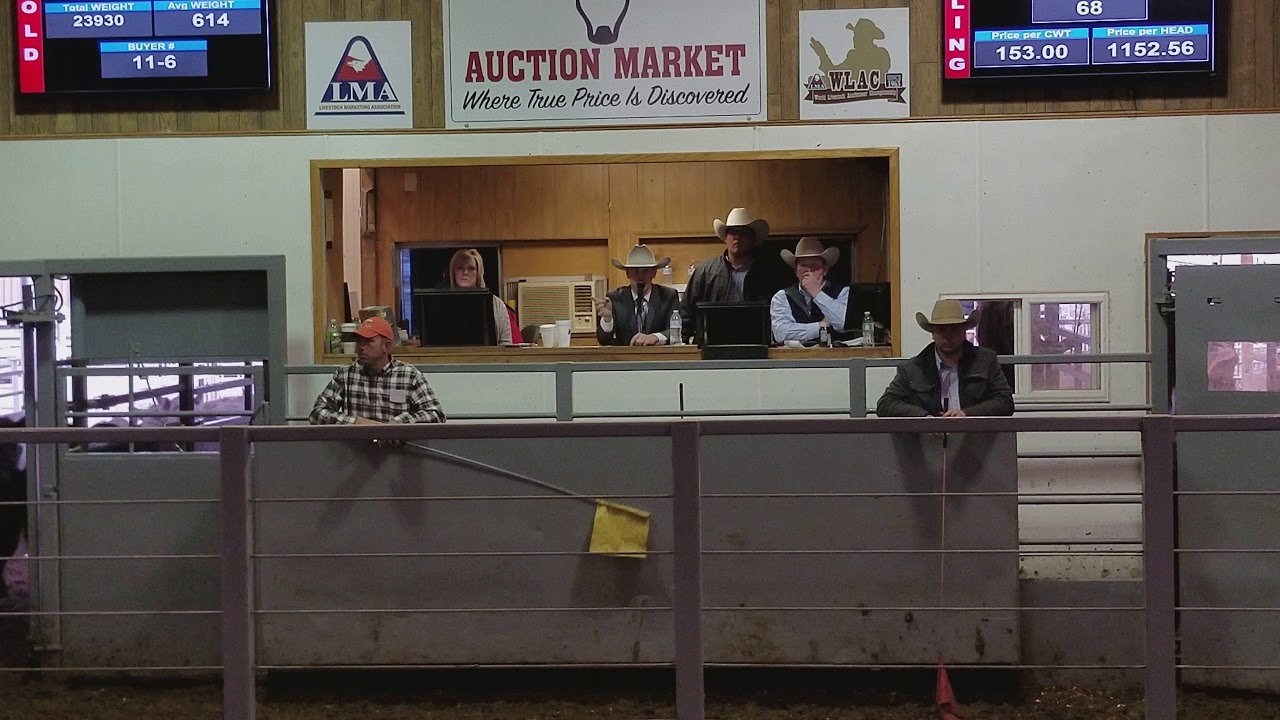 Jeremy Garber 2018 GMLAC Finals Run