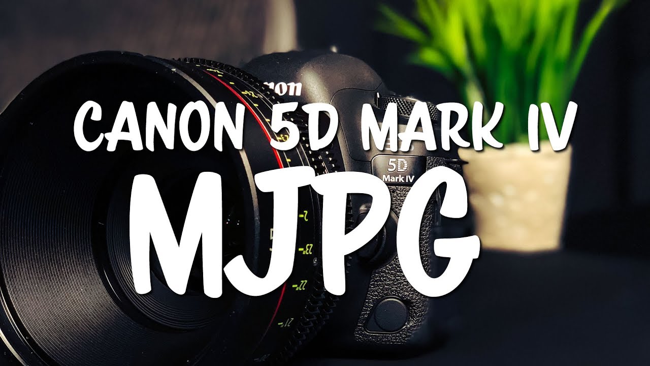 Canon 5D Mark IV Motion JPEG CODEC Cinematography Advantages of A STRONG CODEC