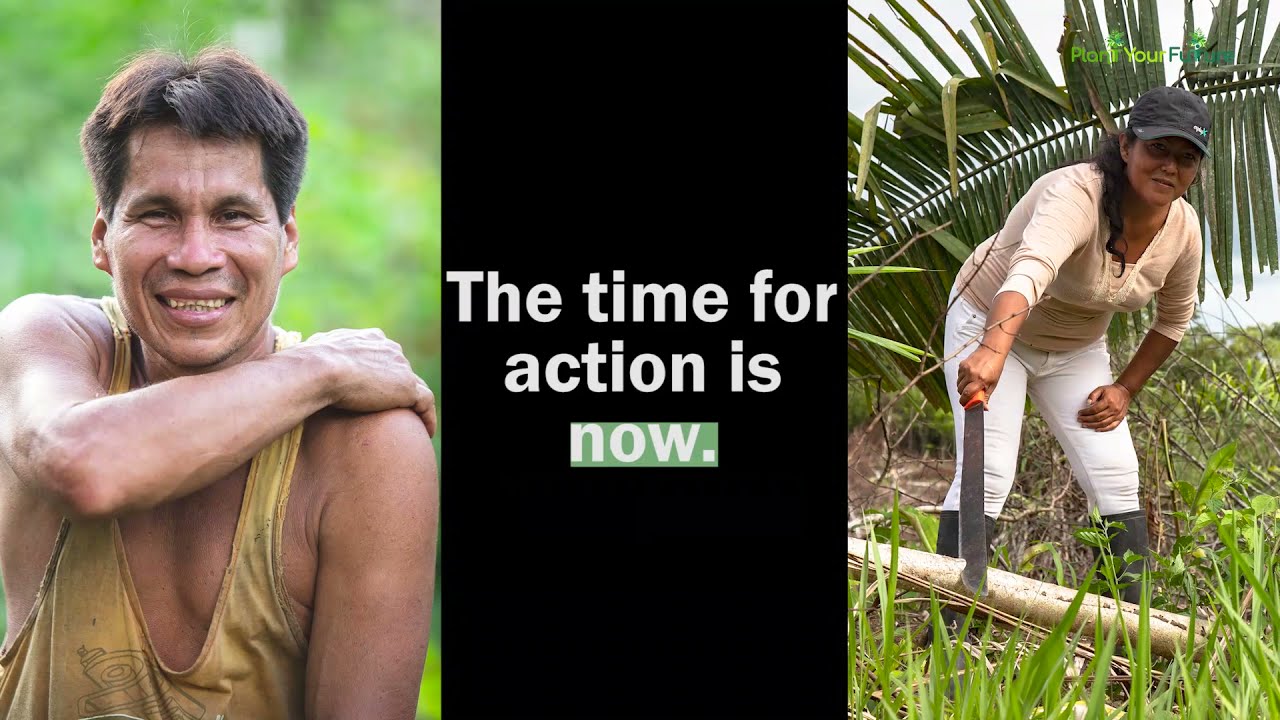 Take Climate Action with Rainforest Communities