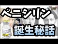 【偶然大発見】抗生物質ペニシリンの誕生秘話【1分まとめ】#Shorts