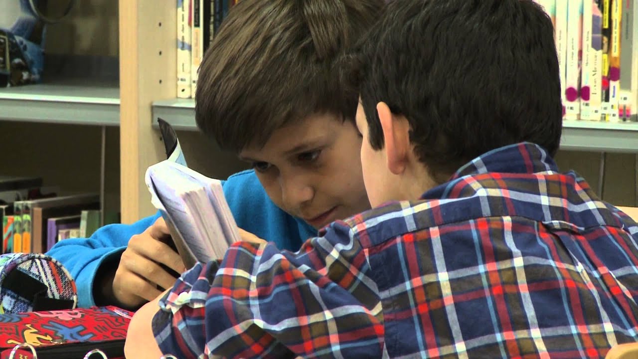 LYCÉE MOLIÈRE VILLANUEVA DE LA CAÑADA