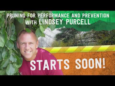 Pruning for Performance and Prevention with Lindsey Purcell