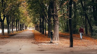 🍂 Autumn Walk Vienna Prater, October 2022 | 4K Hdr