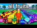 I Got Every Blox Fruit in 24 Hours