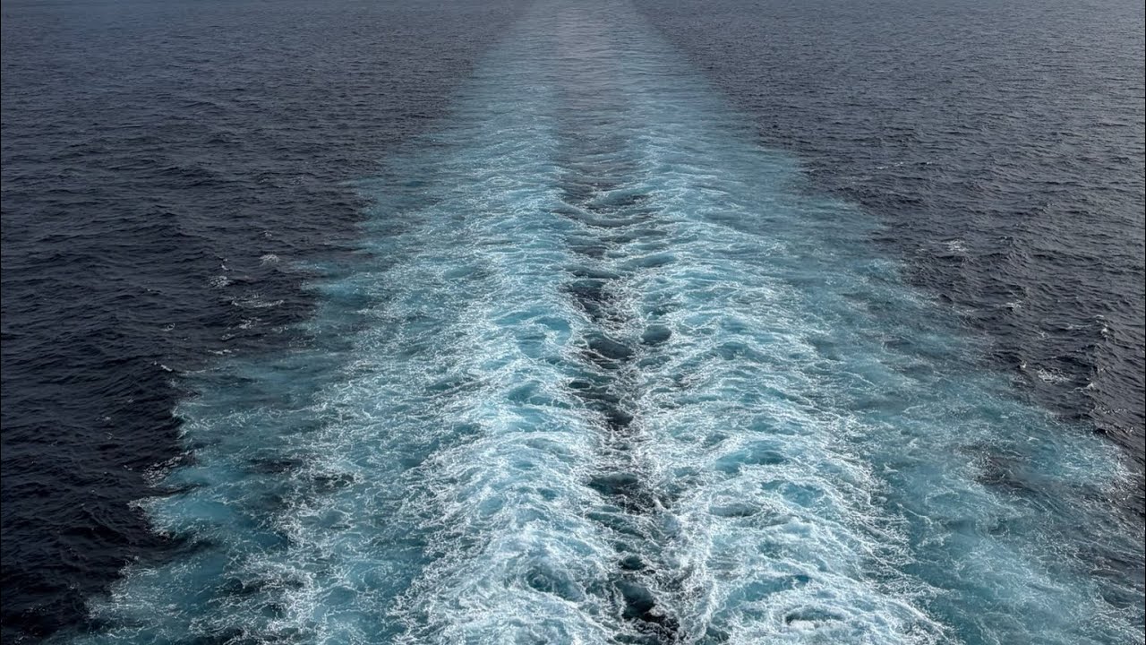 크루즈 바다 여행 MSC cruise ⛴️