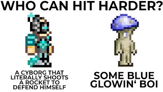 Terraria Memes 8