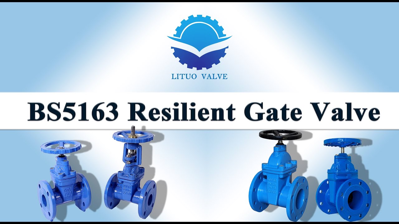(LITUO) BS5163 Resilient Gate Valve