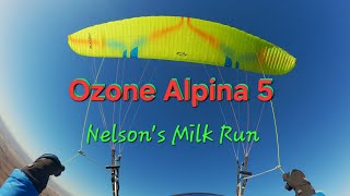 Ozone Alpina 5 - Speedy Milk Run