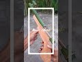 Bamboo weapon ⚡ #shortfeeds #viral #viralvideo #shorts #bamboo #wood