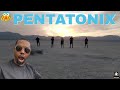 [OFFICIAL VIDEO] Hallelujah - Pentatonix REACTION