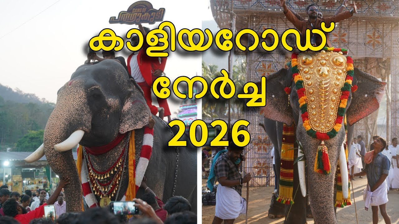 കാളിയറോഡ് നേർച്ച 2026 | Kaliyaroad Nercha 2026