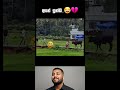 Funny videos 😂 #funny #memes #react #trynottolaugh