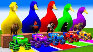 5 Giant Duck Cartoon, Paint & Animals Gorilla,Tiger,Lion,Cow,Sheep Wild Animals Crossing Fountain