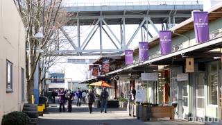 Industrial Revolution: The Design and Influence of Granville Island
