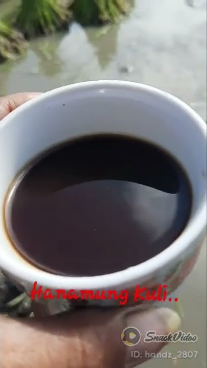 Story Wa indahnya kebersamaan