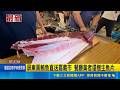 屏東黑鮪魚直送嘉義市 餐廳業者還贈生魚片｜記者 朱怡蓉 廖國雄 薛仁宏  ｜三立新聞LIVE