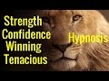 Hypnosis: Confidence, Tenacious,  Winning Mindset,  the Lion, the Champion Mind Programming