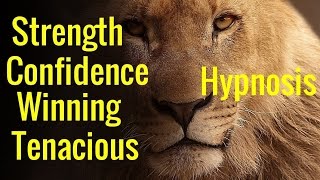 Hypnosis Confidence Tenacious Winning Mindset The Lion The Champion Mind Programming