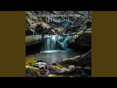 El Naturel - Singing Birds by the Stream
