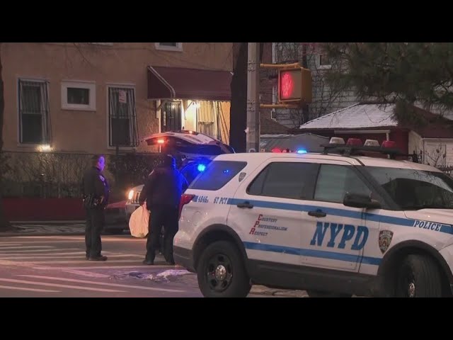 3 Police Officers Attacked In Brooklyn Man In Custody Nypd