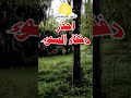 احذر رفقاء السوء Shorts احذر رفقاء السوء Shorts