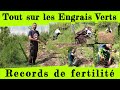 Battez tous les records de fertilit grce aux engrais verts 