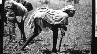 Visible Work, Invisible Women: photo exhibition by P. Sainath | A lifetime bending (Panel 2)