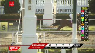 Vidéo de la course PMU CIRCULO DE DUENOS F. S. DE CARRERAS S.