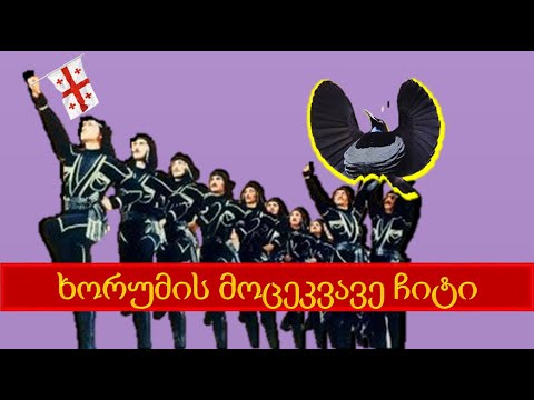 ხორუმის მოცეკვავე ჩიტი