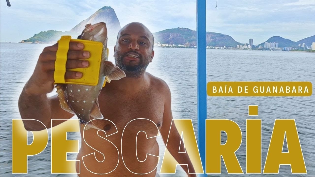 Pescaria na Baía de Guanabara | Rio de Janeiro 🎣😳#pesca #fishing #iscaartificial #baiadeguanabara