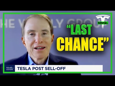 Tesla BOARD MEMBER’s MESSAGE for Tesla ALL Shareholders!?