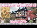 0405【華御殿】水連の部屋に宿泊。ヒストリックデラックスツイン【富士屋ホテル】