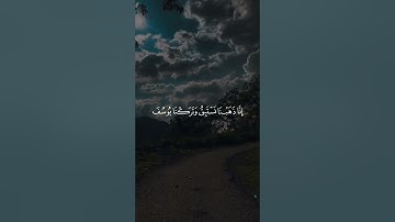 وجاءوا أباهم عشاء يبكون/ القارئ مشاري العفاسي #قرآن