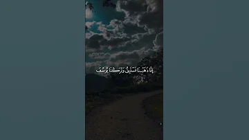 وجاءوا أباهم عشاء يبكون القارئ مشاري العفاسي قرآن 