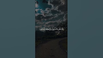 وجاءوا أباهم عشاء يبكون/ القارئ مشاري العفاسي #قرآن
