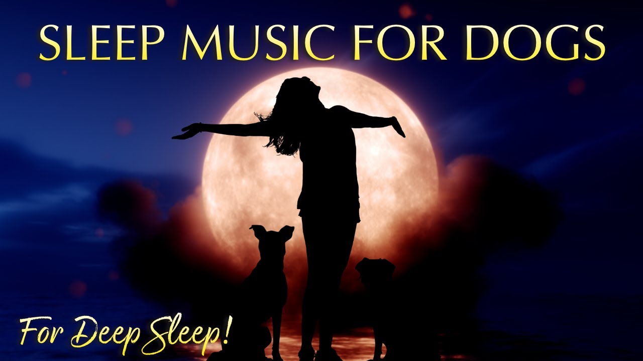 12 Hours of Deep Sleep Music for Dogs 🐶 Anxiety & Stress Relief (432Hz)