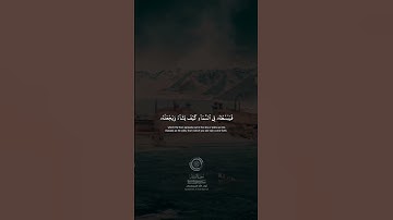 #سورة_الروم #الشيخ_محمد_صديق_المنشاوي #قرآن_كريم #quran #foryou #لا_اله_الا_الله #الشيخ_المنشاوي