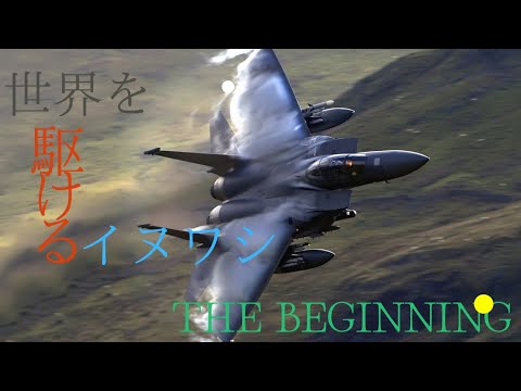 「MAD」F-15×The Beginning  世界を翔るイヌワシ 改