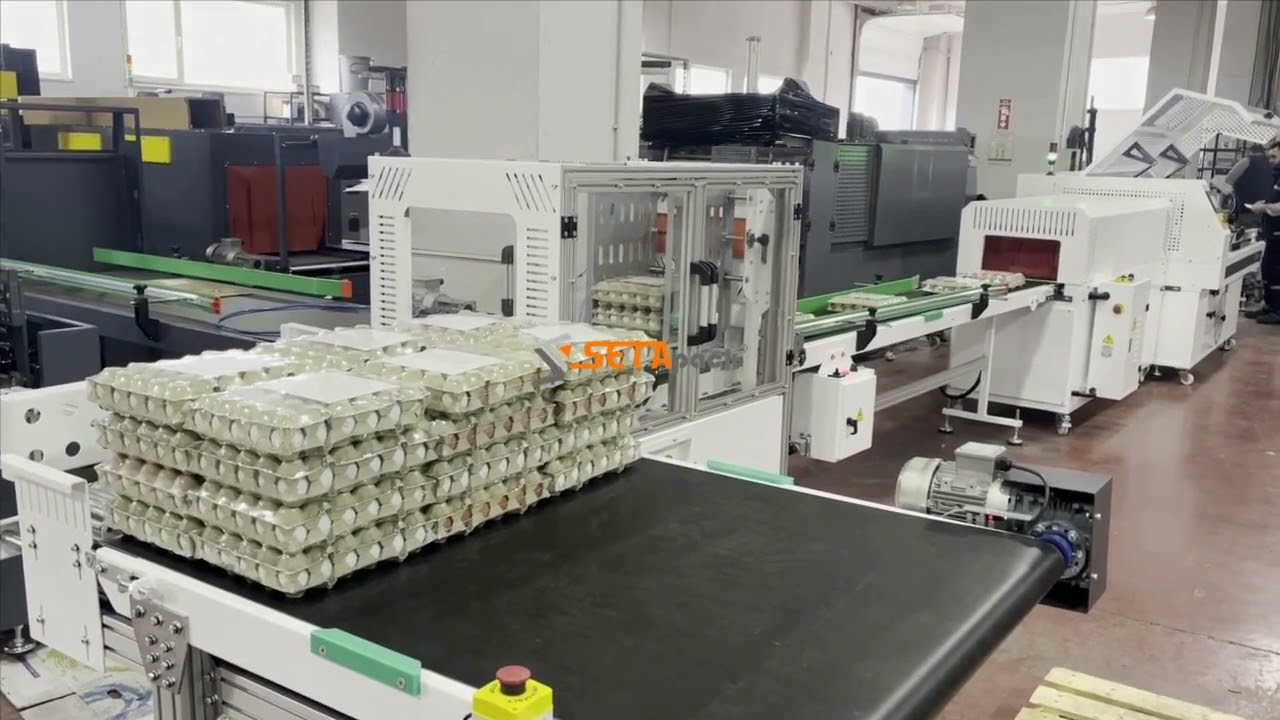 Yumurta Paketleme Hattı // Egg Tray Packaging Line