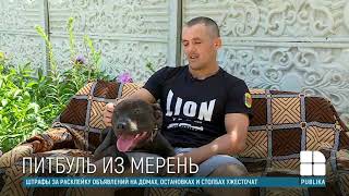 Боец ММА Михай Сырбу рассказал о своей слабости Боец ММА Михай Сырбу рассказал о своей слабости