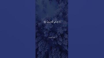 قُل رَّبِّ إِمَّا تُرِيَنِّي مَا يُوعَدُونَرَبِّ فَلا تَجْعَلْنِي فِي الْقَوْمِ﴾القارئ ماهر المعيقلي